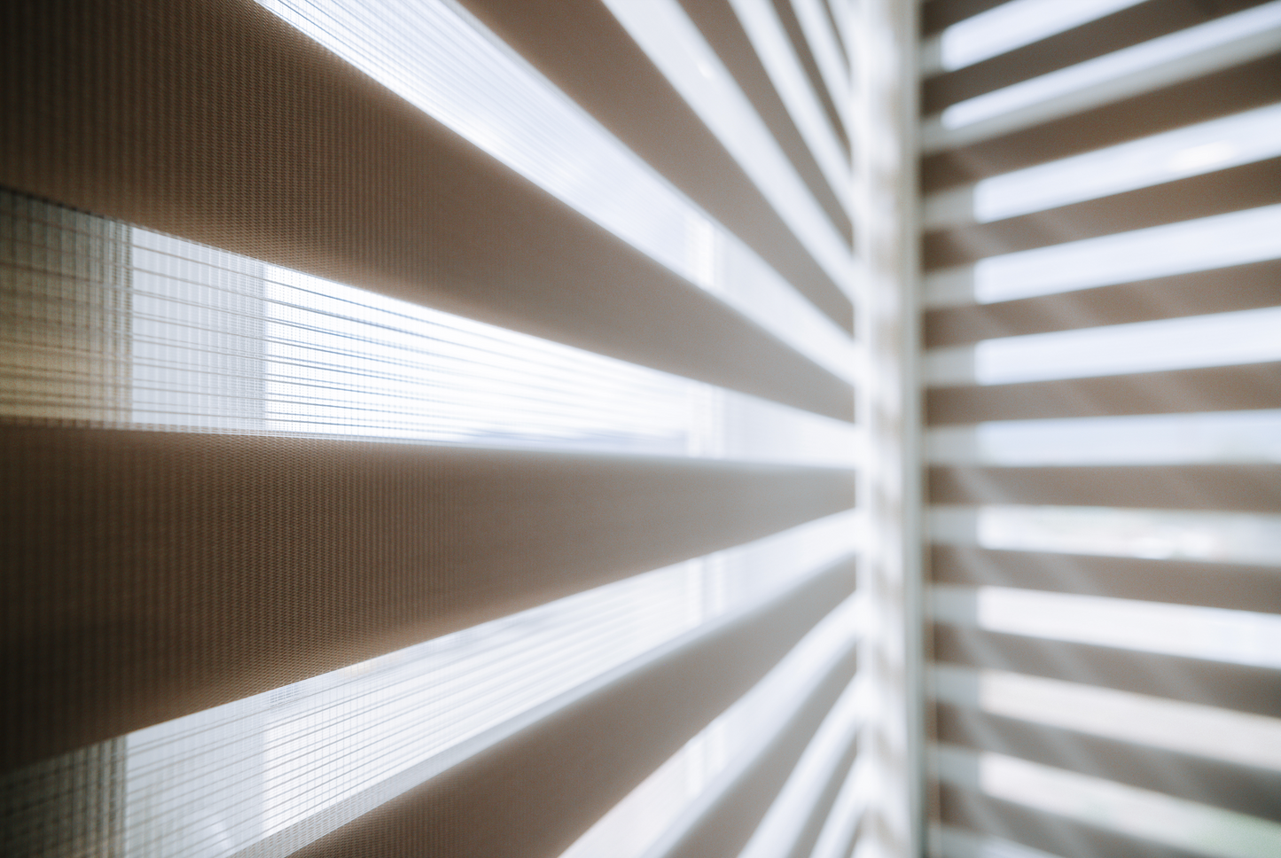 EXPERT DAY & NIGHT sávroletta