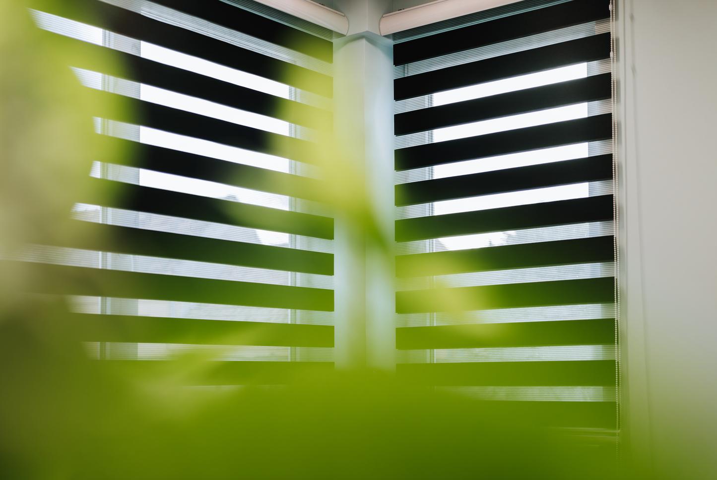 EXPERT DAY & NIGHT sávroletta