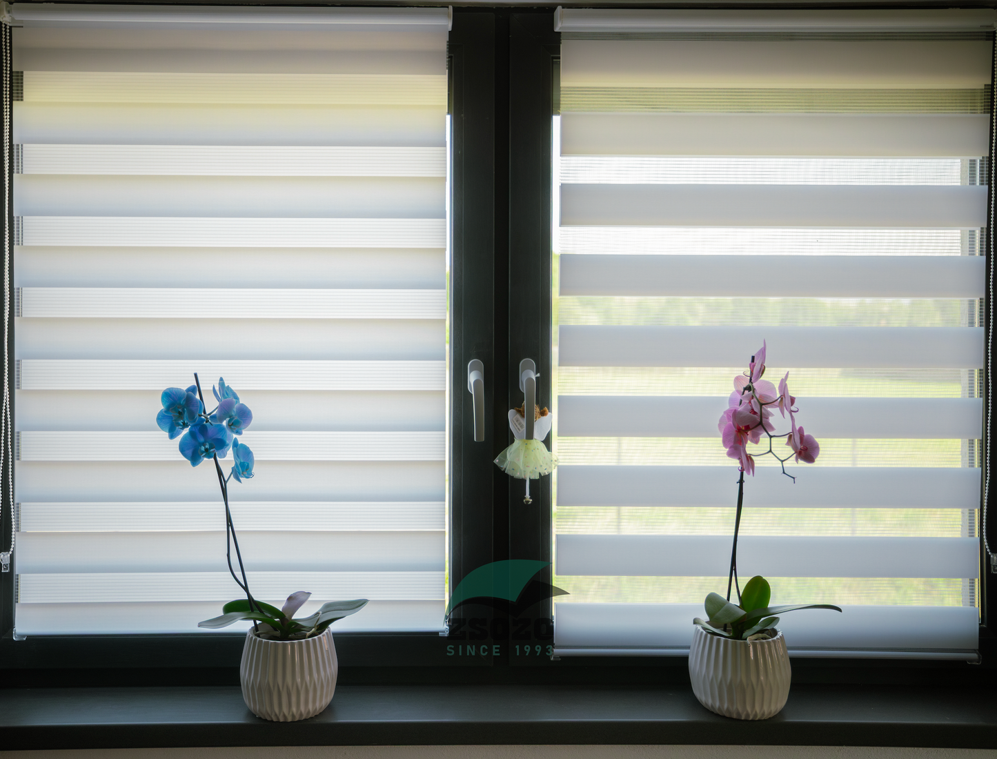 EXPERT DAY & NIGHT sávroletta