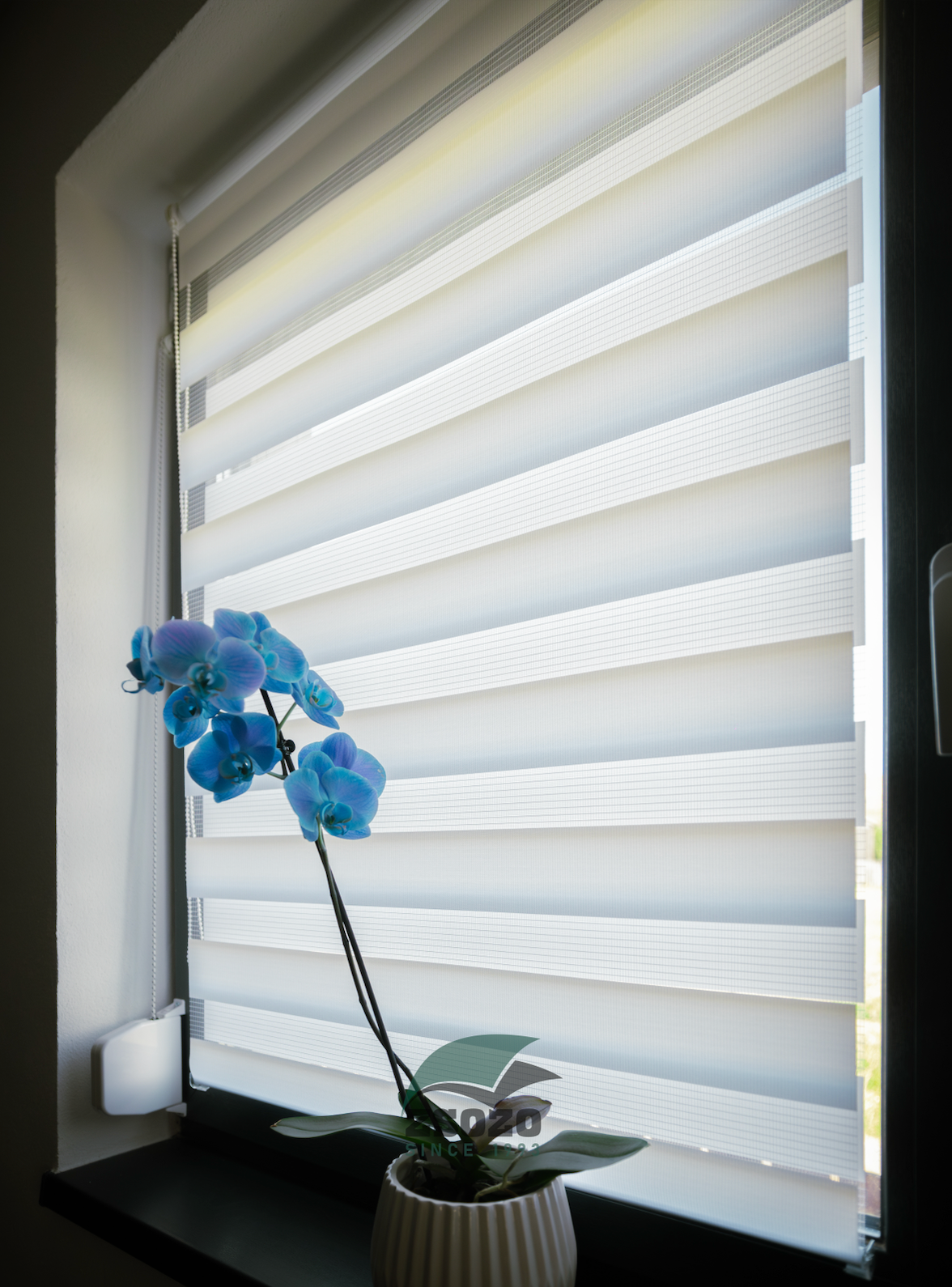 EXPERT DAY & NIGHT sávroletta